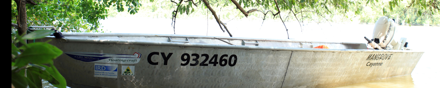 Mangrove Boat French Guiana_Christophe Proisy