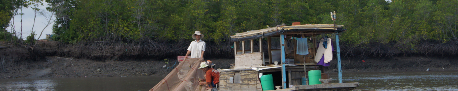Mangrove_Vietnam_Cyril_Marchand