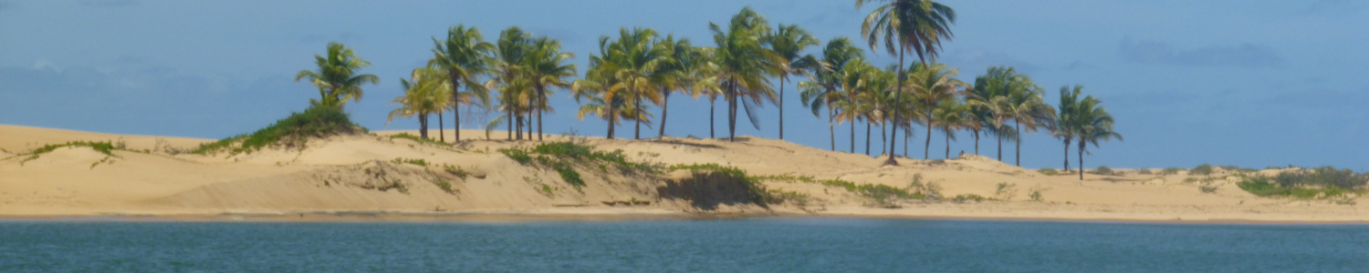 Mouth of the Sao Francisco Estuary, Brazil (C) Gwenael Abril