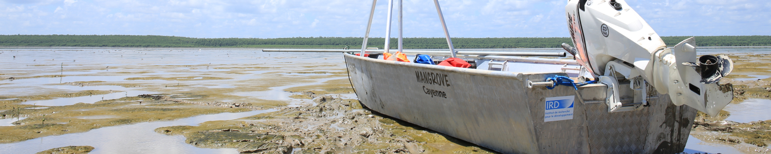 Mud_bank_French_Guiana_Christophe_Proisy