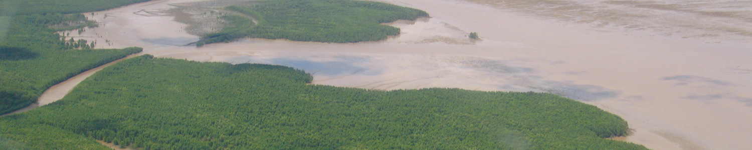 Pointe_Behague_French_Guiana_Christophe_PROISY