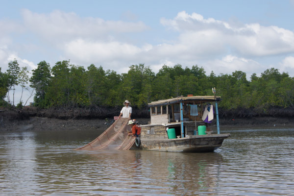 Mangrove_Vietnam_Cyril_Marchand