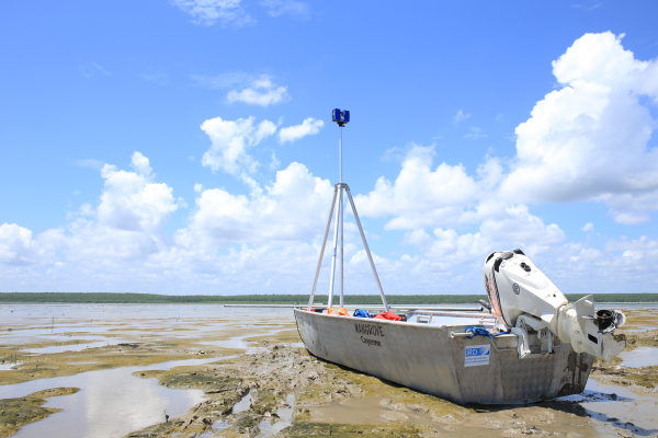 Mud_bank_French_Guiana_Christophe_Proisy