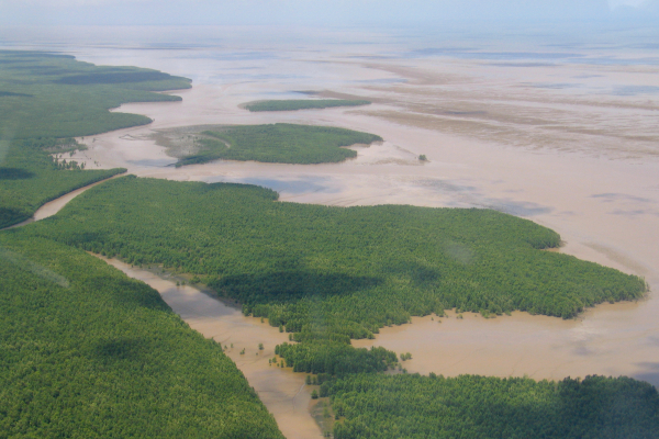 Pointe_Behague_French_Guiana_Christophe_PROISY