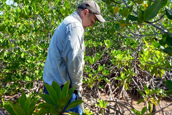 Soil Core sampling in Ouvea Cyril Marchand
