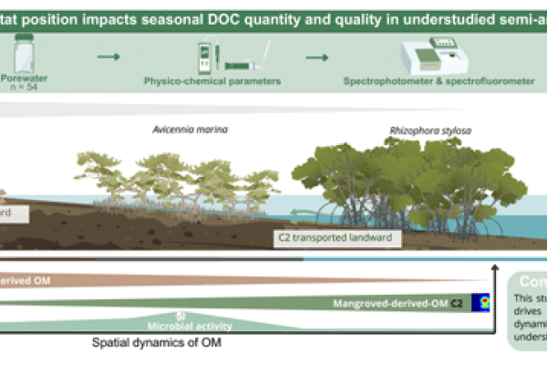 Mouras et al 2026 BG