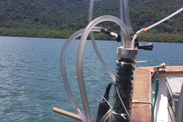 Equilibrator in Mamangua