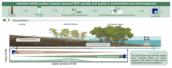 Mouras et al 2026 BG